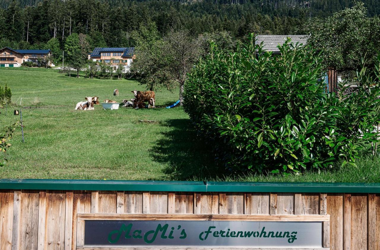 Ferienwohnung Grundlsee, Willkommen In Mami'S Ferienwohnung Kültér fotó